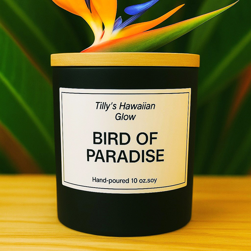 Tilly's Hawaiian Glow Bird of Paradise 10 oz hand-poured black soy candle with wooden lid and tropical flower.