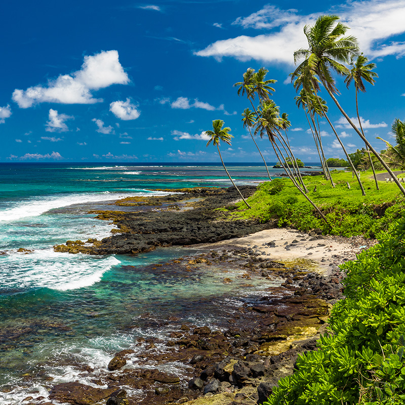 Vibrant Hawaiian coastline with clear blue ocean, white waves crashing on black lava rocks and sandy coves, lush green vegetation, and leaning palm trees under a blue sky with white clouds.
